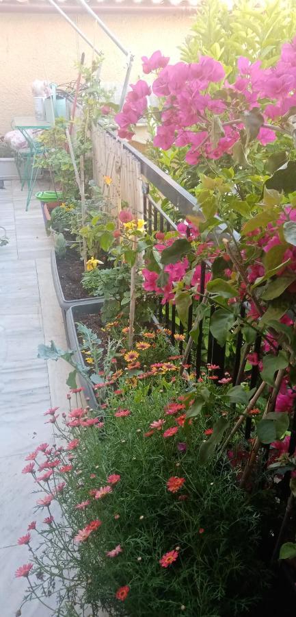 Aegina'S Flowers House ภายนอก รูปภาพ