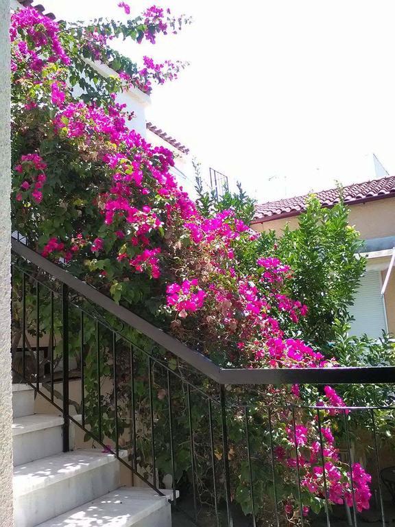 Aegina'S Flowers House ภายนอก รูปภาพ